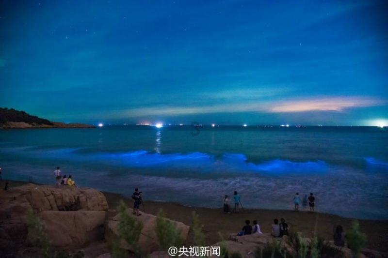 蓝点的冒险无敌版