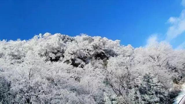 救援小蝙蝠