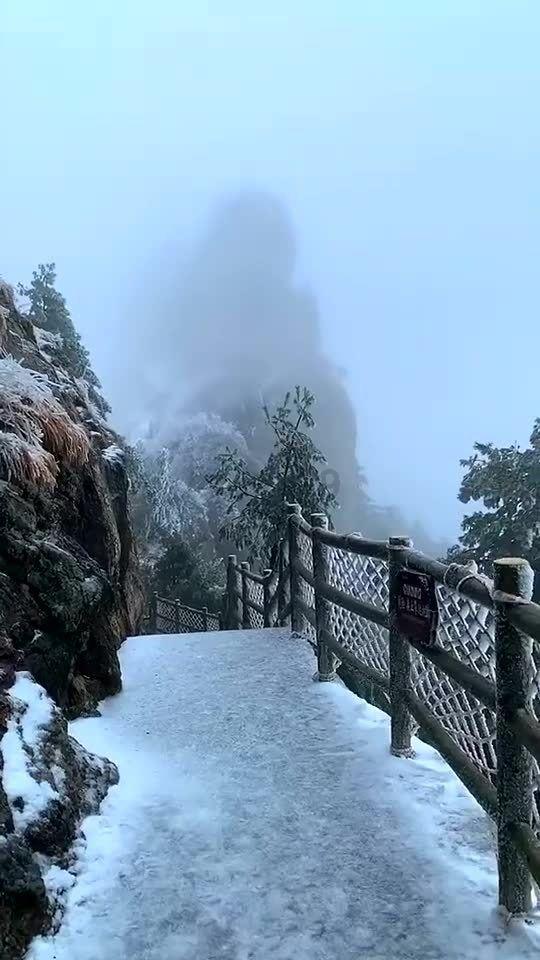 大型营救