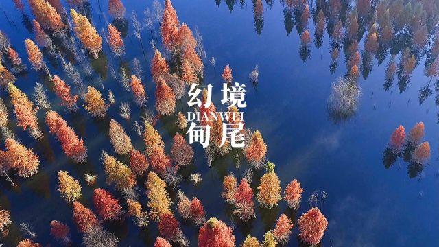 计算机操作系统软件有哪些-专业有问必答平台