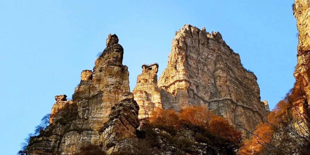 玛雅预言成真?灭绝多年的物种频繁“复活”,究竟是何原因?