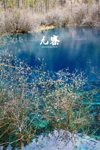 风语世界2：沉寂