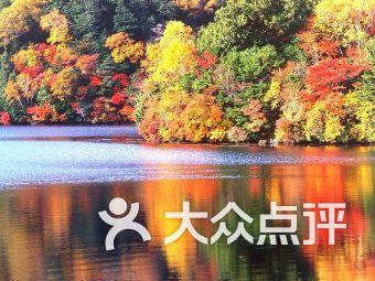 解救可爱的鸭子