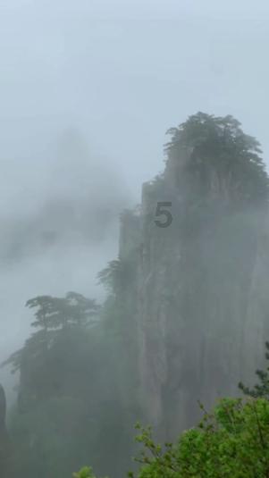 小猫钓鱼正版下载中文版