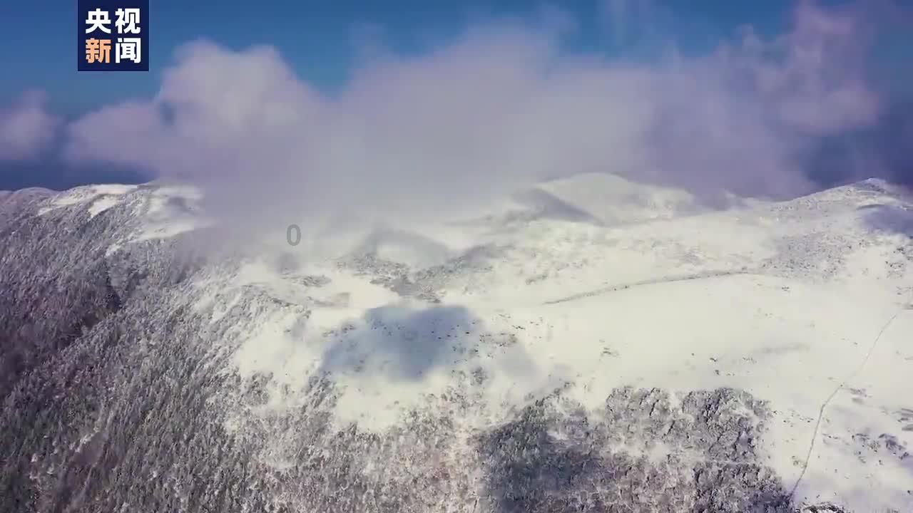 嘉日单词