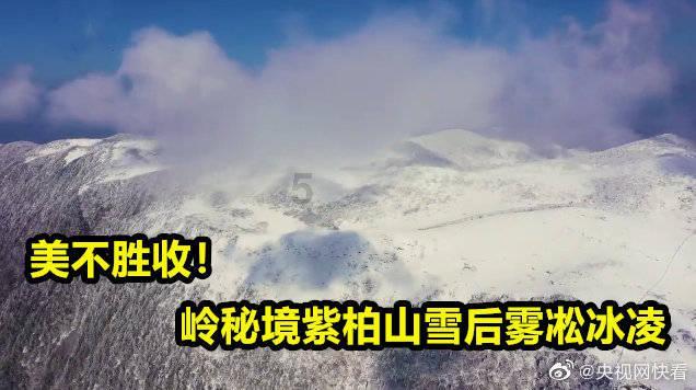 小留镇党委召开学习贯彻习近平新时代中国特色社会主义思想主题教育专题民主生活会