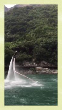动物帮帮忙保卫家园