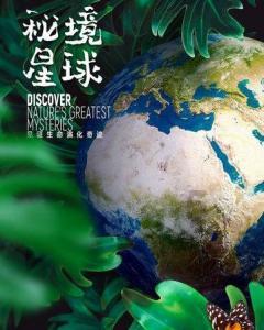 美式橄榄球大赛