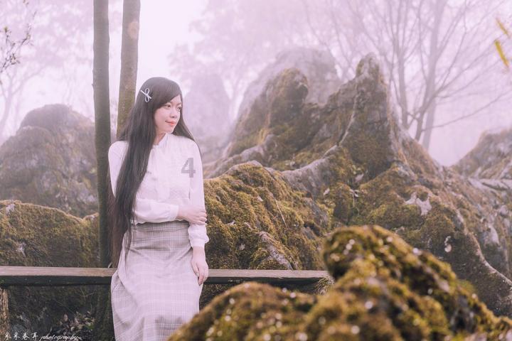 春雨直播app
