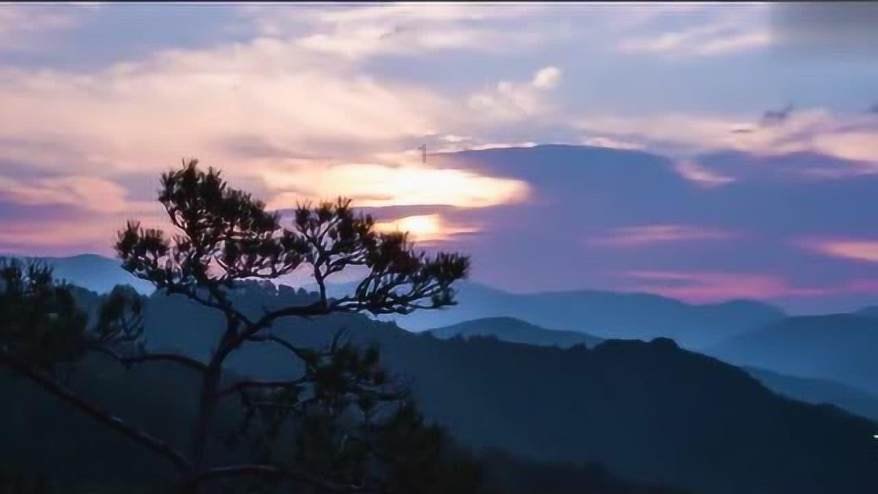月光影视