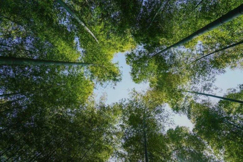 和王菲谈恋爱是什么感受?梁龙:不是一个世界人,她永远看不见你