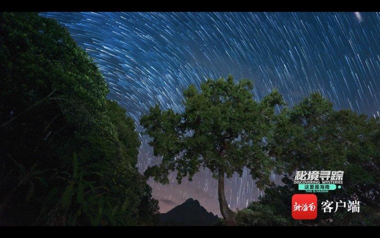 国常会作出部署:明确资本市场下一步工作重点
