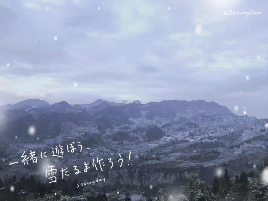 蓝狐视频