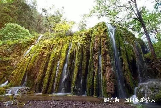 球球大作战下载最新版