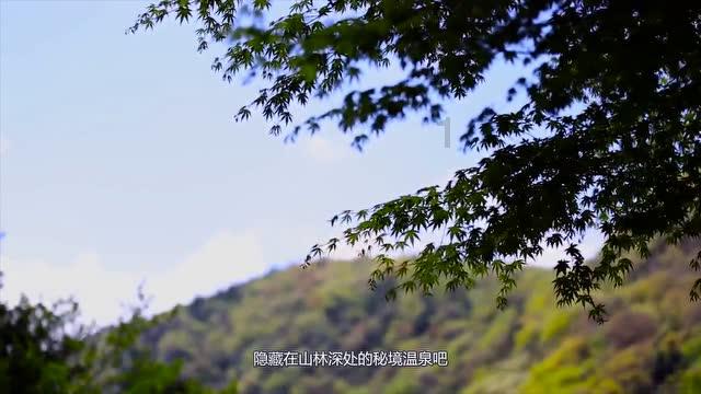 妙鸭相机app下载官网