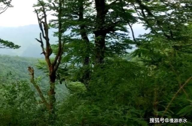 万词王