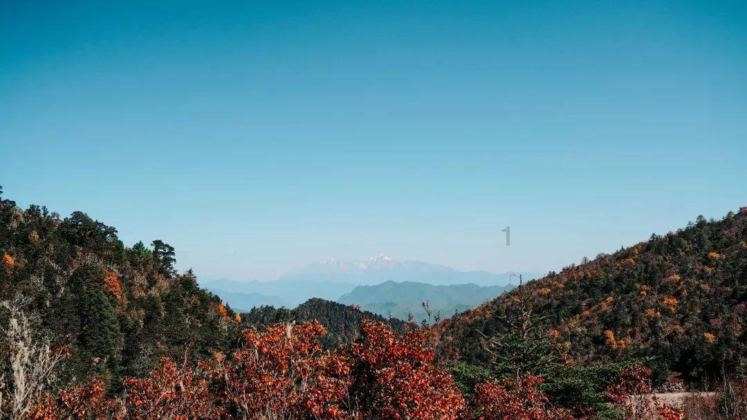 新春走基层丨探访渤海埕北A平台国家基本气象站