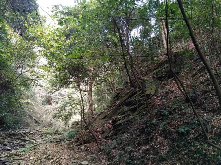 全民烧脑3去广告版