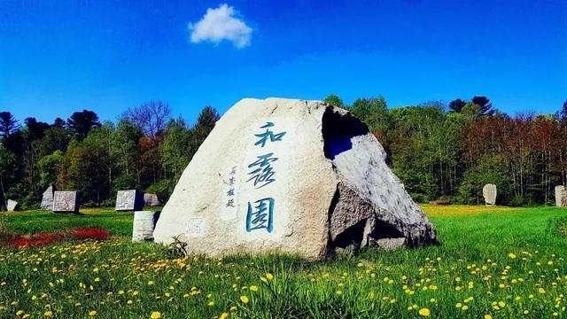 蓝狐视频