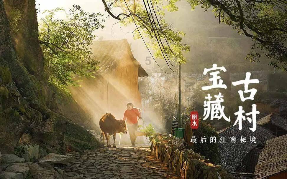 寻找萌宠松鼠