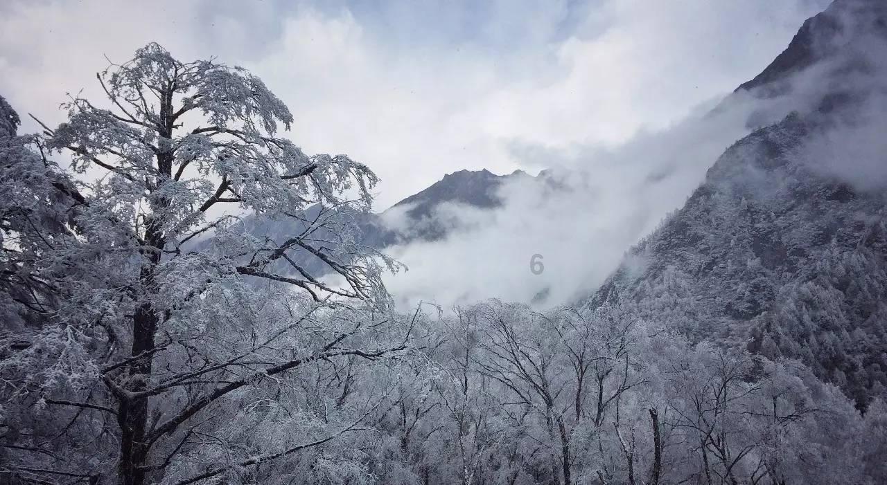 脑洞小老弟无实名认证