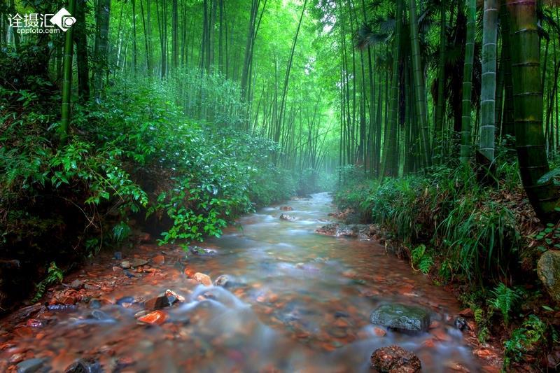 沪江开心词场