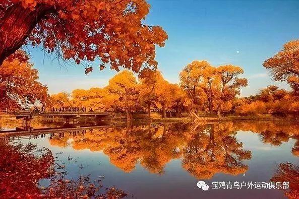平底鞋