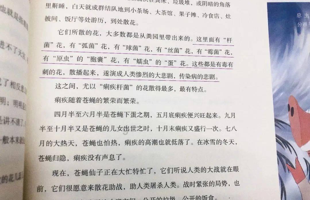 救援快乐的兔子