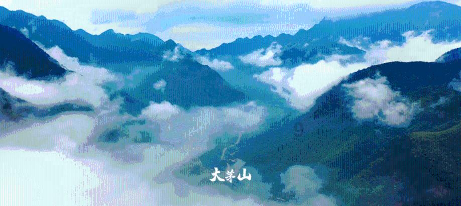 汪屯乡“三坚持”助力乡村换“颜”提“质”