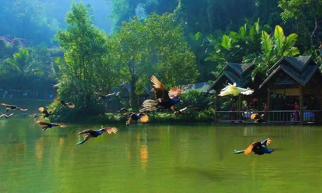 脑洞小老弟无实名认证