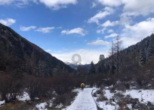 动物帮帮忙保卫家园