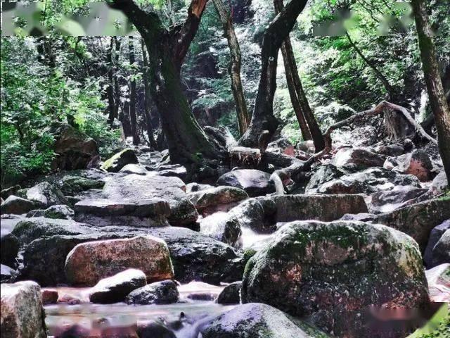 专属知识星球客家咸干花生传统做法,五香味好吃有嚼劲,一次煮一大锅吃不停嘴,深度解析,限时加入!