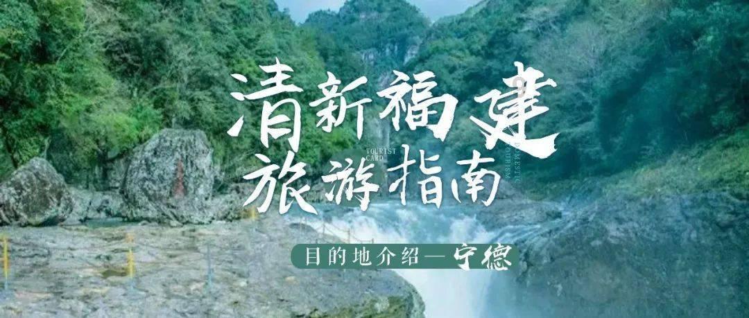 丛林森林逃生