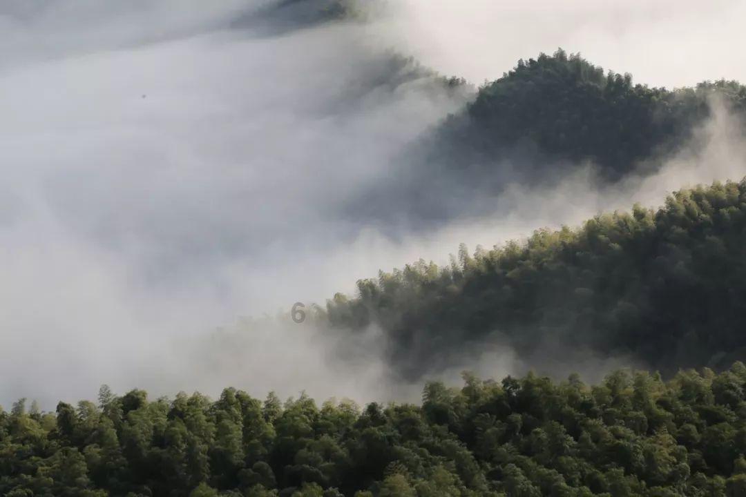 沪江开心词场