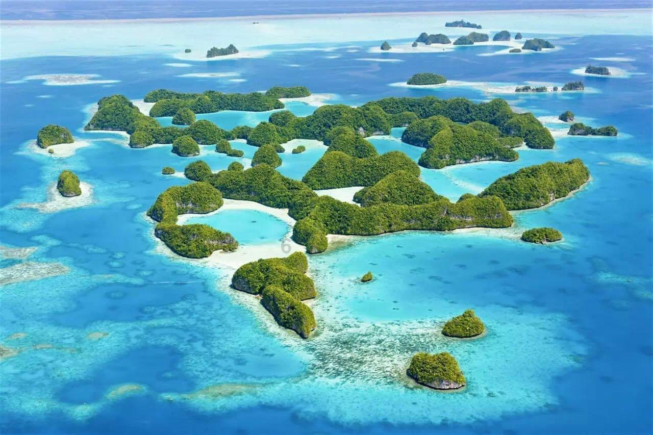 动物帮帮忙保卫家园