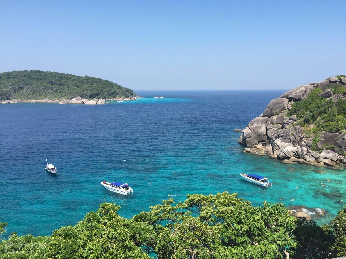 虫虫助手下载