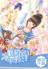 完美的收藏品