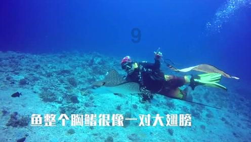 妙鸭相机app下载官网