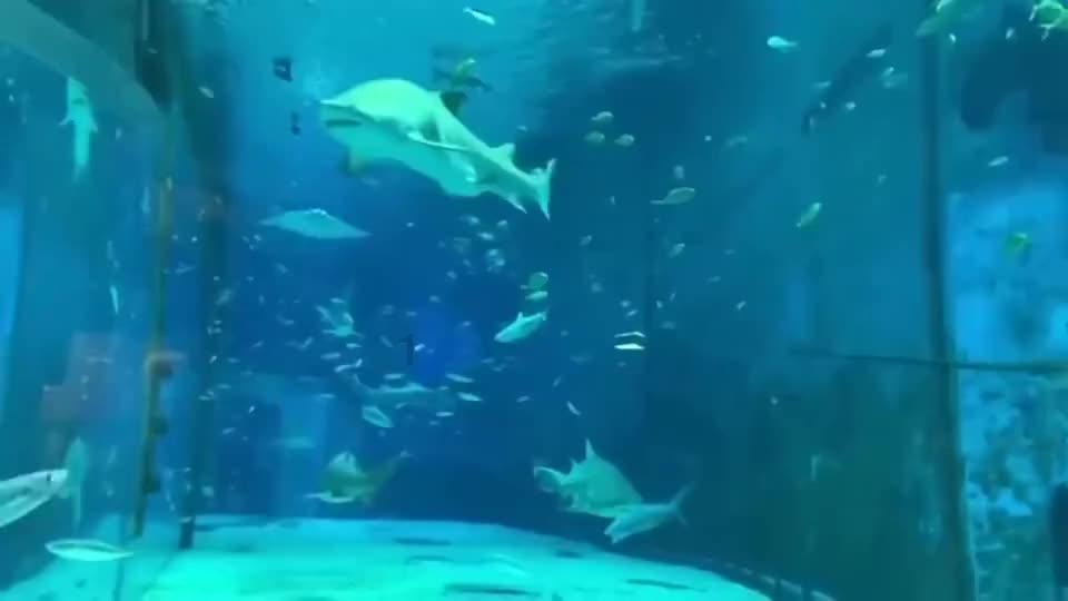 热门话题尽在在恋爱中女生应该占据主动地位吗??红迪网