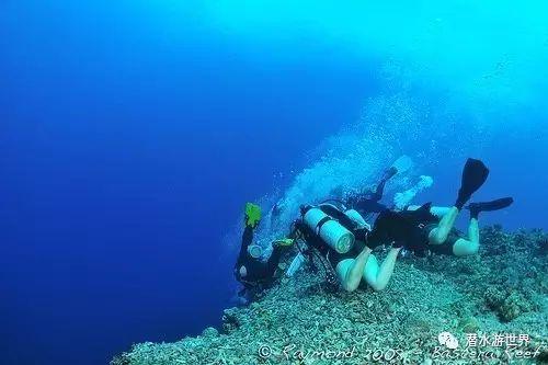 会计证遗失刚巧要换新证如何办理