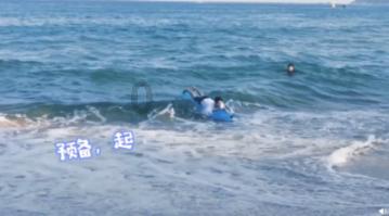 动物帮帮忙保卫家园