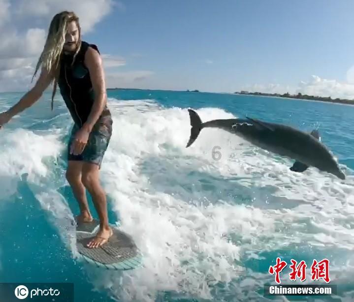 嘉日单词