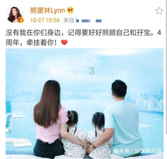 解救金刚鹦鹉