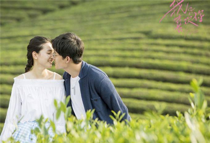 栀子花叶子发黄了怎么办-分享思考,结识志同道合的红迪网平台
