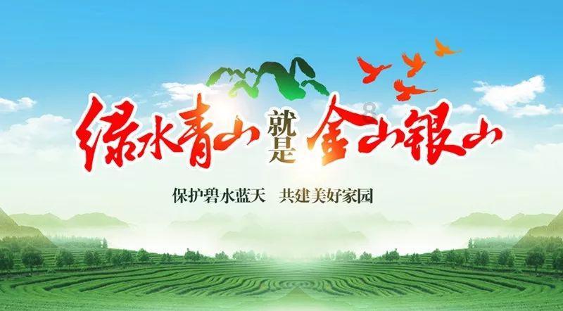 创作猫