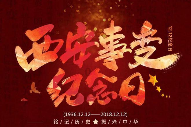 古偶看腻了?题材丰富的2024待播现代剧预测来咯!!(下)