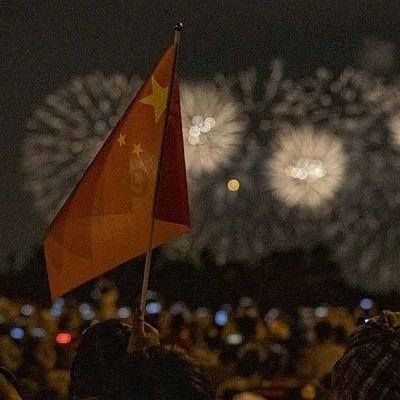 宁波港代理猫砂进口报关注意事项,进口申报流程科普