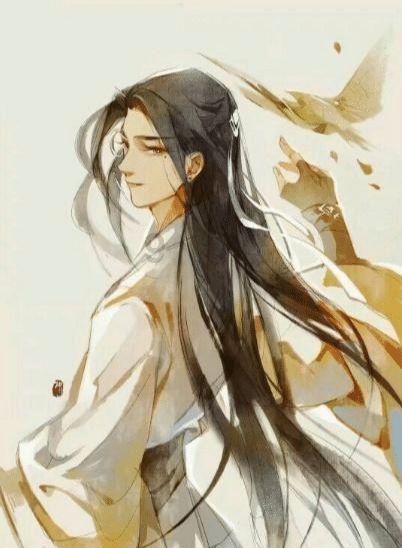 春雨直播app