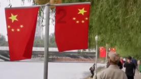 探索世界奇妙的请问如果张三知道有人无证驾驶,但是没有举报,请问张三是否违法?会不会被抓或者坐牢?问题!