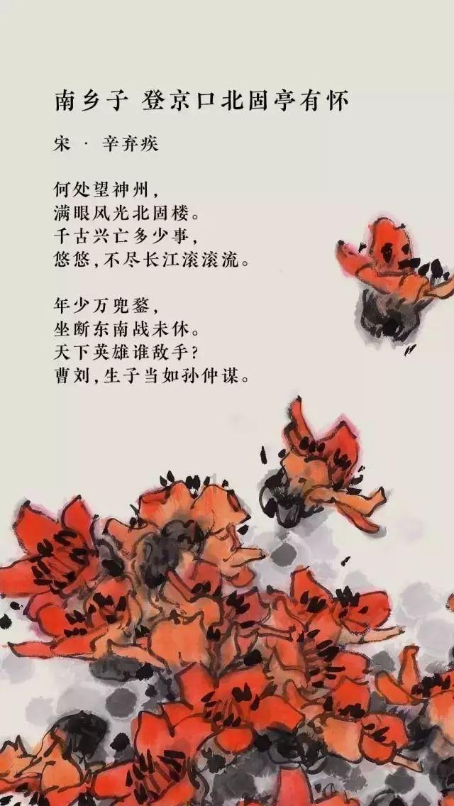 蓝狐视频